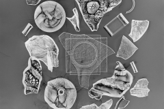 Photogram © Sarah Rose Weitzman