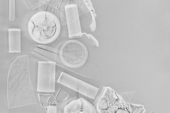Photogram © Sarah Rose Weitzman