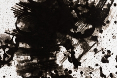 Photogram © Sarah Rose Weitzman