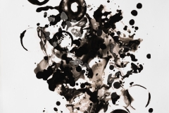 Photogram © Sarah Rose Weitzman