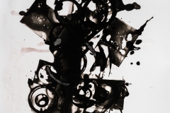 Photogram © Sarah Rose Weitzman