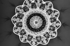 Photogram © Sarah Rose Weitzman