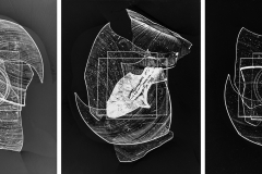 gallery-focus-on-visibility-AIR-exhibition-Sarah-Rose-Weitzman-33-sarah-w-024-026-027