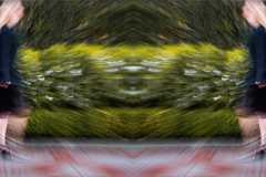 "CONSCIOUSNESS SHIFTED"