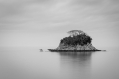 Photo © Janet Franklin