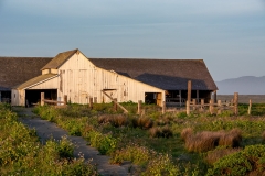 Point Reyes. Photo © Susan Elliott