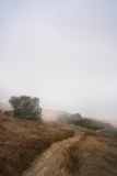 Loma Alta, Photo © Jeffrey Martz