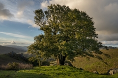 Loma Alta, Photo © Jeffrey Martz