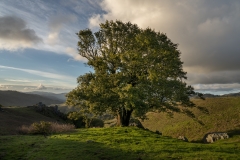 Loma Alta, Photo © Jeffrey Martz