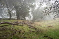 Loma Alta, Photo © Jeffrey Martz