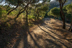 Loma Alta, Photo © Jeffrey Martz