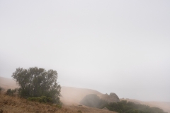 Loma Alta, Photo © Jeffrey Martz