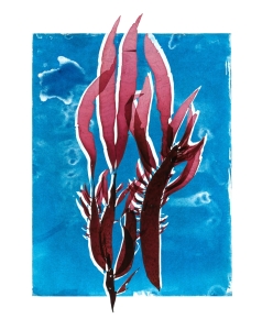 Prionitis and its Cyanotype © Josie Iselin Prionitis and its Cyanotype © Josie Iselin