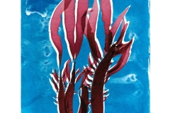 Prionitis and its Cyanotype  © Josie Iselin