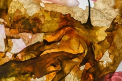 Abstract Brown © Josie Iselin