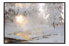 "Steamy Pond, Mongolia"