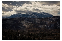 "The Sierra Nevada near Carson Pass"