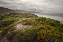 Photo © Leanne Hansen Photo © Leanne Hansen