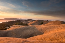 Photo © Leanne Hansen Photo © Leanne Hansen