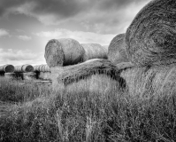 Photo © Leanne Hansen Photo © Leanne Hansen