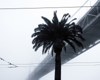 Photo © Leanne Hansen Photo © Leanne Hansen