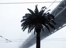 Photo © Leanne Hansen
