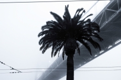 Photo © Leanne Hansen
