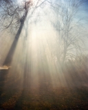 Photo © Ian Bates Photo © Ian Bates