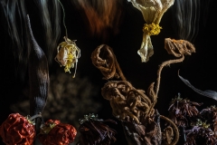 "New Terrain" still life photography series