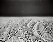 Hendrik_Paul_Venice_Beach