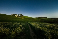 Marin County, CA. Photo © Shira Bezalel