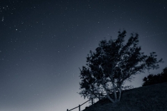 Marin County, CA. Photo © Shira Bezalel