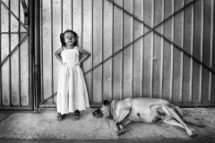 Azul y perro, Colonia Guadalupe Victoria, 2015