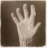 ©Wendy Snyder MacNeil