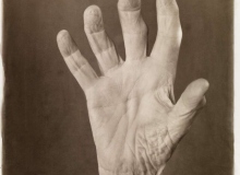 ©Wendy Snyder MacNeil