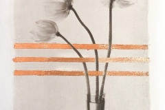 Artwork © Chere Pafford