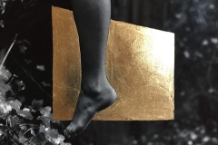 Artwork © Solange Roberdeau