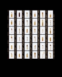 Chris-Gibbons-USA552-2024