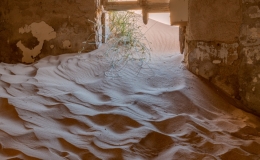 Flooded. © Anita Rama