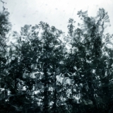 Faraway. © Jennifer Melnick