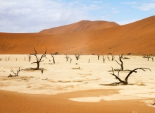 Drought. Sossusvlei desert, Namibia.