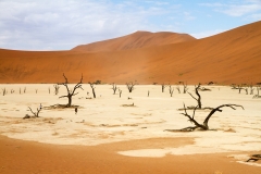 Drought. Sossusvlei desert, Namibia.