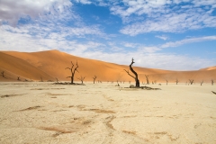 Drought. Sossusvlei desert, Namibia.