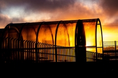 Theo,  Headed Home, 2023.