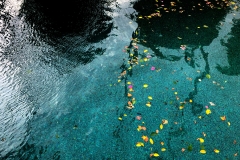 Reflections - Photo of the Month