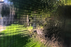Reflections - Photo of the Month