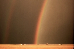 Reflections - Photo of the Month