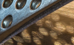 Mary-Sheft-Garlic-Press-2022