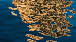Patty-LaDuke-Reflection-macro Patty-LaDuke-Reflection-macro