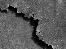 ©stuart Schwartz, 2016